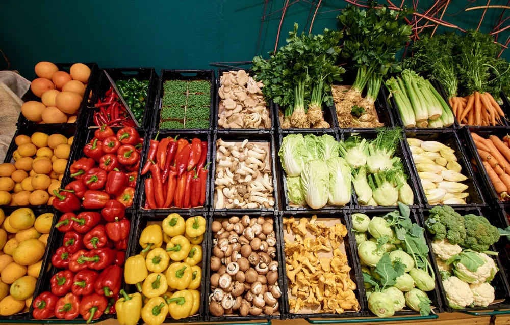 Sortiment mit großer Auswahl - Biomarkt im Ostallgäu b.i.o. - Biomarkt im Ostallgäu - Gemüse