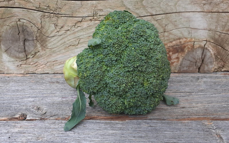 Bioladen, Nahversorger und Heimlieferservice - broccoli