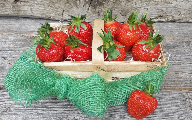 Bioladen, Nahversorger und Heimlieferservice - erdbeeren