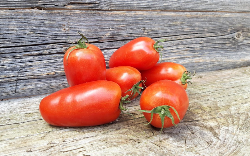 Unsere Empfehlung Tomate San Marzano